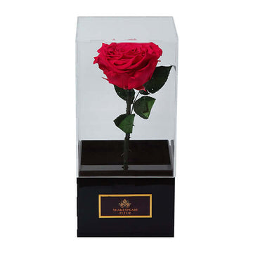 Infinity Dark Pink Rose Single